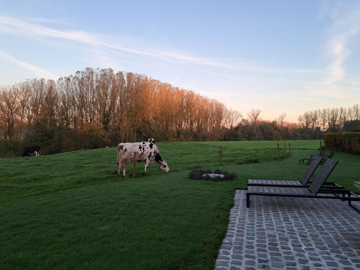 Huize Potaerde, stijlvol landhuis nabij Brussel voor 8 personen Villa Merchtem Buitenkant foto