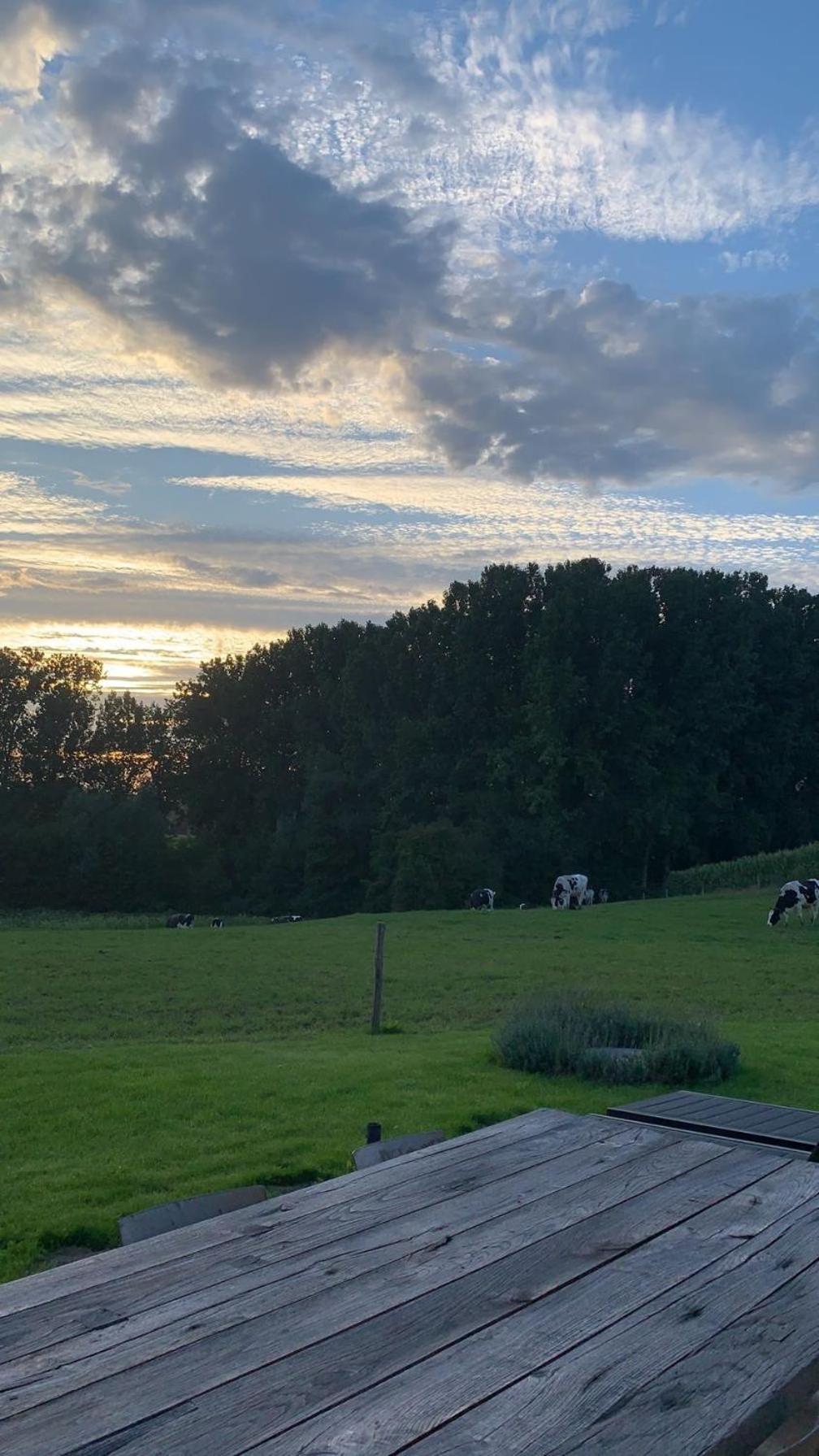 Huize Potaerde, stijlvol landhuis nabij Brussel voor 8 personen Villa Merchtem Buitenkant foto